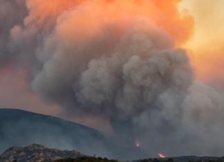 Inferno on the Border: Raging Wildfires Force Mass Evacuations Across France and Spain