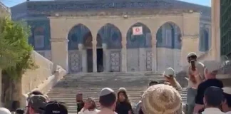 Thousands of Jewish worshipers ascending Temple Mount, handful arrested over prayer, group says