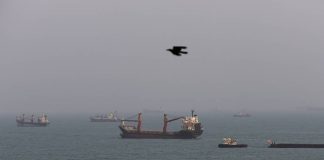 Covert Oil Shipments Through Strait of Hormuz Help Contain Energy Price Surge