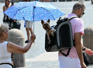 Climate resilience no longer enough for Europe