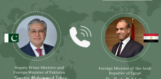 Pakistan, Egypt Deepen Defence and Regional Security Coordination