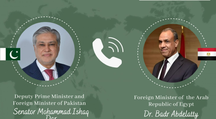 Pakistan, Egypt Deepen Defence and Regional Security Coordination