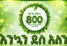 A Day to Remember: Ethiopia Plants 800 Million Trees in Single-Day
