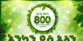 A Day to Remember: Ethiopia Plants 800 Million Trees in Single-Day