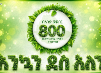 A Day to Remember: Ethiopia Plants 800 Million Trees in Single-Day