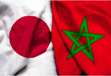 A Bridge Between Cultures, Moroccan-Japanese Couple Creates a Welcoming Home in Rural Japan