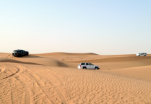 Al-Wohoosh Desert Reserve, A Vital Sanctuary for Dubai’s Desert Biodiversity