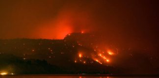 Elderly Woman Dies While Fleeing Fast-Spreading Wildfire in British Columbia