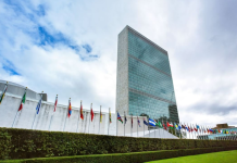 UN General Assembly Backs More Accurate Representation of Africa on World Maps