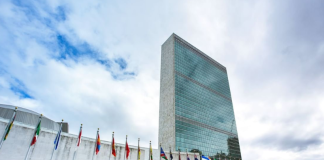 UN General Assembly Backs More Accurate Representation of Africa on World Maps