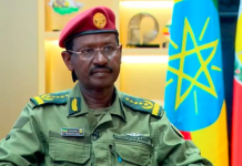 Ethiopia Army Chief Warns of Foreign Backing for Armed Groups as Northern Conflict Intensifies