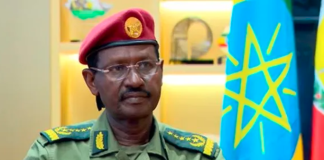 Ethiopia Army Chief Warns of Foreign Backing for Armed Groups as Northern Conflict Intensifies