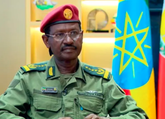 Ethiopia Army Chief Warns of Foreign Backing for Armed Groups as Northern Conflict Intensifies