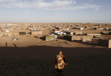 Tindouf Camps Face Mounting Questions Over Aid Management and Financial Accountability