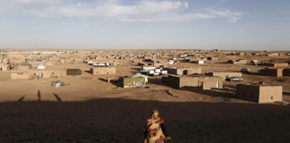 Tindouf Camps Face Mounting Questions Over Aid Management and Financial Accountability