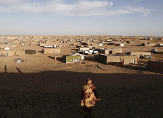Tindouf Camps Face Mounting Questions Over Aid Management and Financial Accountability