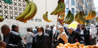 Algeria’s Food Security Crisis and the Diplomatic Rupture with the UAE: A Governance Failure Demanding Accountability