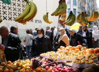 Algeria’s Food Security Crisis and the Diplomatic Rupture with the UAE: A Governance Failure Demanding Accountability