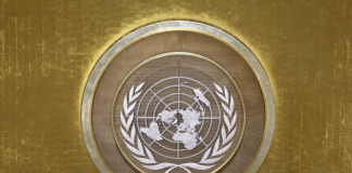 Credibility and legitimacy of the UN is at stake amid failure to confront Houthi threat