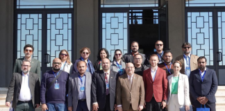 Constanța–Karachi Maritime Corridor Set to Strengthen Romania–Pakistan Trade Connectivity