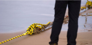 Iranian officials: Tehran has detailed plans to hit Gulf undersea cables if war resumes