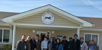Pakistan-Romania Business Council Explores Romanian Animal Welfare Model for Karachi and Sindh