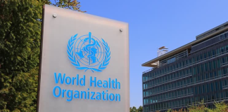 WHO Assesses Public Health Risk as Low After Pneumonia Case in Siberia