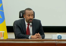 Ethiopia Reaffirms Strategic Bid for Red Sea Access Amid Regional Tensions