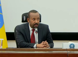 Ethiopia Reaffirms Strategic Bid for Red Sea Access Amid Regional Tensions
