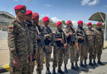 Ethiopia Urges International Community to Condemn Alleged Eritrean Military Incursion, Demands Immediate Withdrawal of Troops