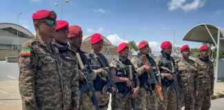 Ethiopia Urges International Community to Condemn Alleged Eritrean Military Incursion, Demands Immediate Withdrawal of Troops