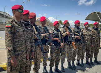 Ethiopia Urges International Community to Condemn Alleged Eritrean Military Incursion, Demands Immediate Withdrawal of Troops