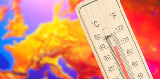 Record-Breaking European Summer Heat Linked to More Than 50,000 Deaths