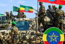 Ethiopia Urges Peaceful Resolution as Horn of Africa Leaders Seek Regional Stability