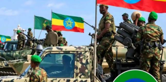 Ethiopia Urges Peaceful Resolution as Horn of Africa Leaders Seek Regional Stability