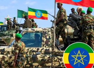 Ethiopia Urges Peaceful Resolution as Horn of Africa Leaders Seek Regional Stability