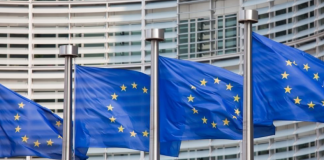 EU Records 39% Annual Decline in First-Time Asylum Applications in July 2026